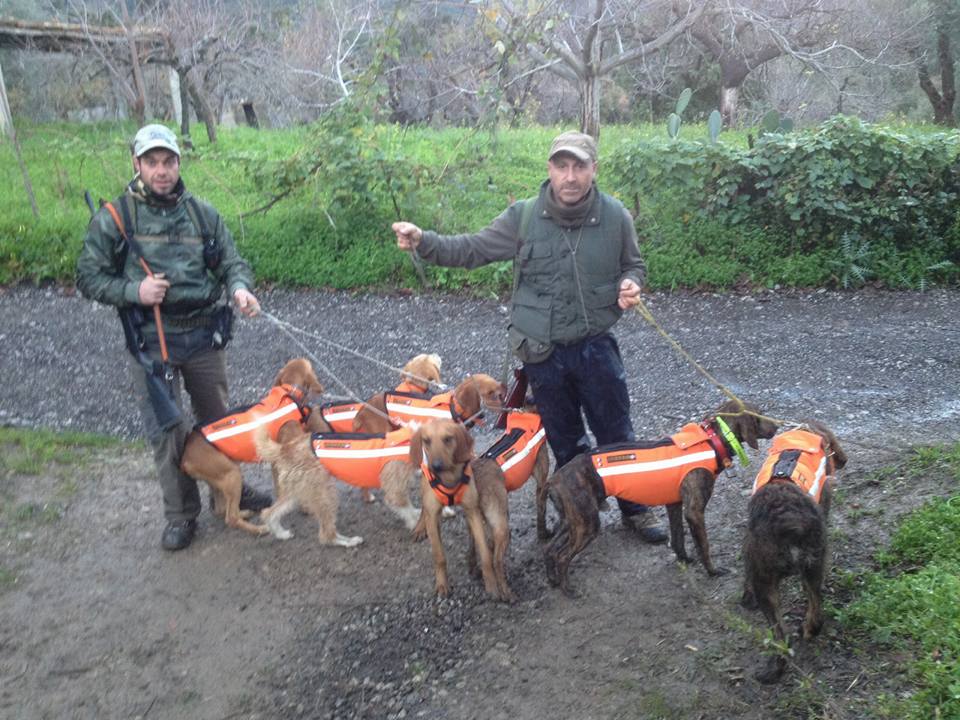 5644_1165399940154153_8093734584287713217_n