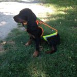 Ira di Mattia Piccolo