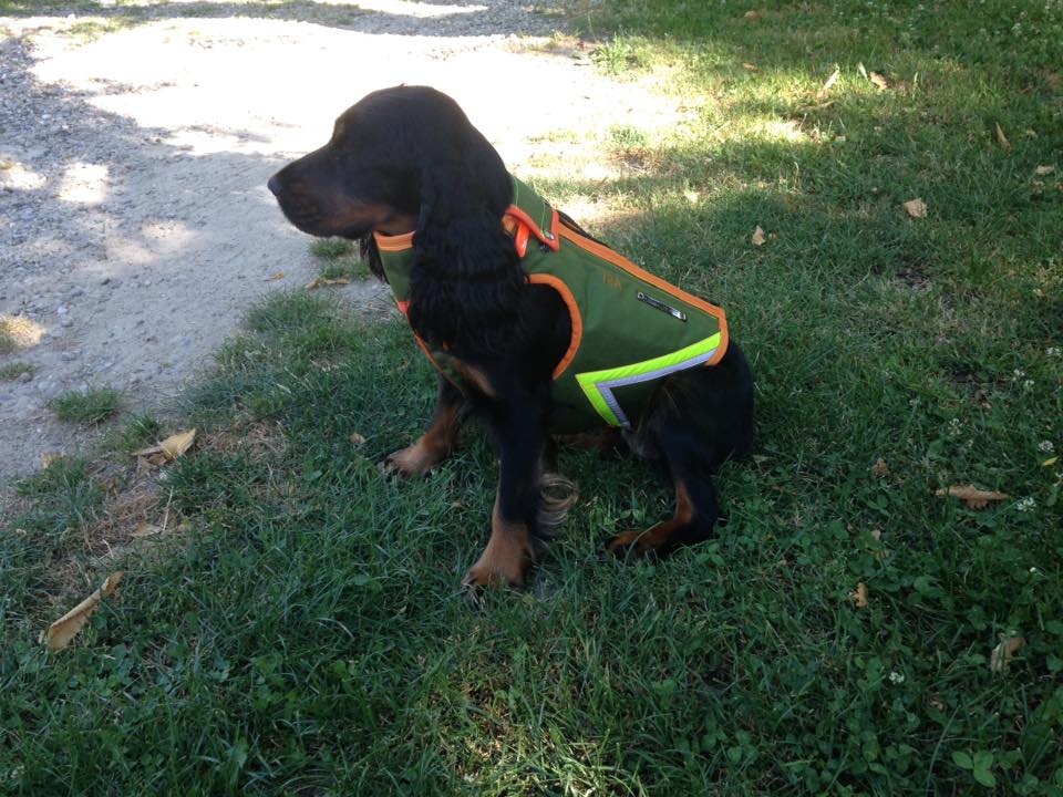 Ira di Mattia Piccolo